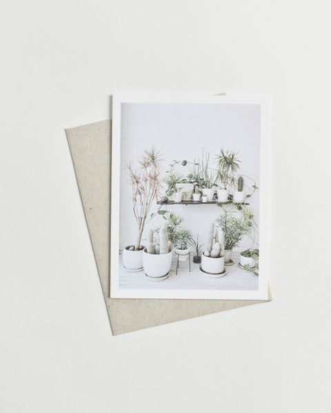 Photo greeting card of assorted potted plants and cacti against a white wall.